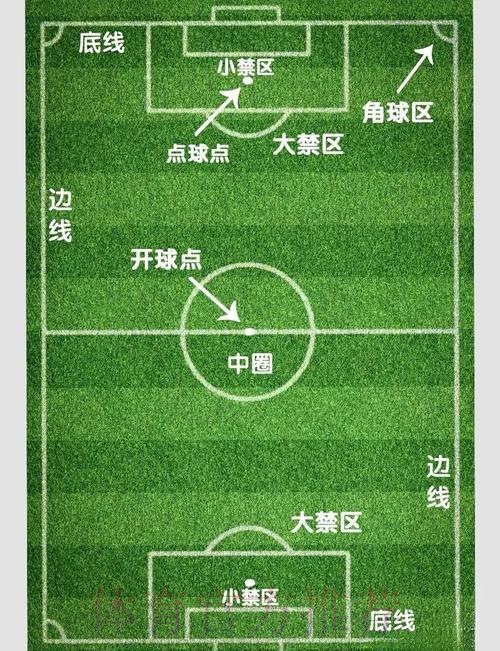 世界杯滚球玩法全攻略：规则详解与实战技巧深度剖析